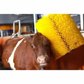 Сельскохозяйственное оборудование Автоматическая щетка для чистки коров с мотором для массажа крупного рогатого скота